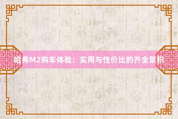 哈弗M2购车体验：实用与性价比的齐全聚积